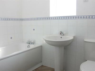 Picture 13